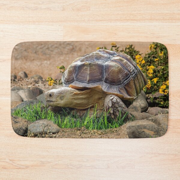 Item preview, Roaming Tortoise designed and sold by heatherfriedman.