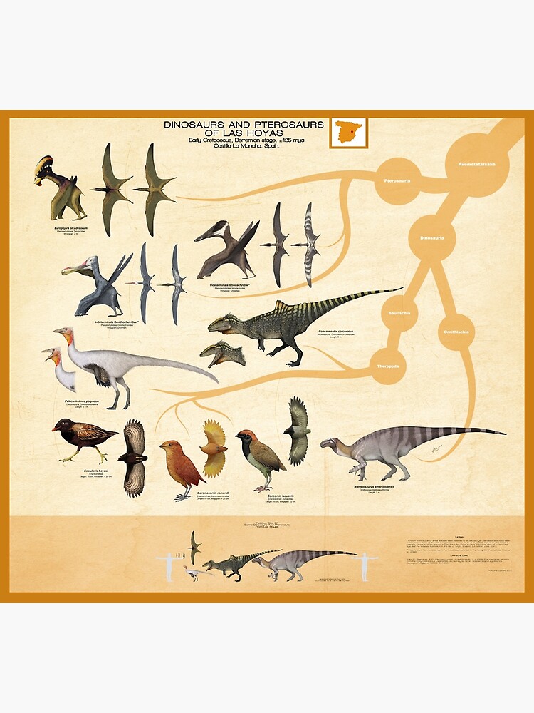 Динозавры развитие. Потомки динозавров. Эволюция динозавров в птиц. Птицы потомки динозавров. Динозавры эволюционировали.