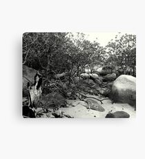 roots Canvas Print