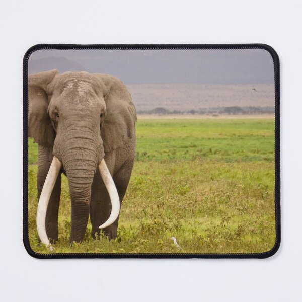 Item preview, Majestic Elephant  designed and sold by SuziQPrayers427.