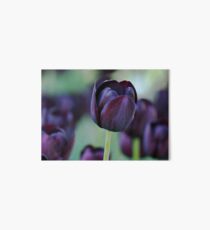 Dark Purple Tulip Art Board
