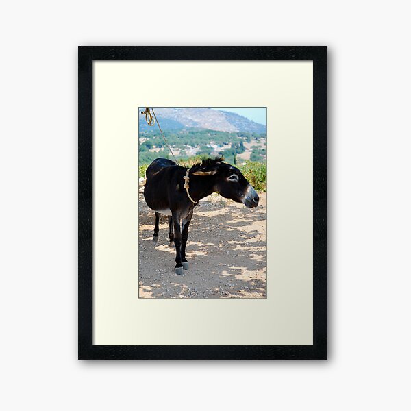 Donkey Framed Art Print