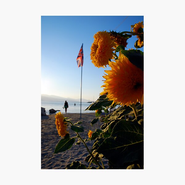 flagflower Photographic Print