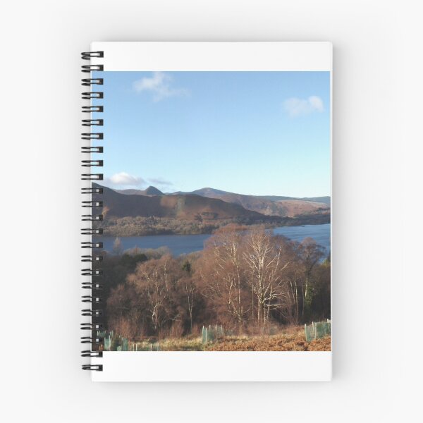 Item preview, Panoramic view of Derwent Water from above Ashness Bridge designed and sold by amylw1.