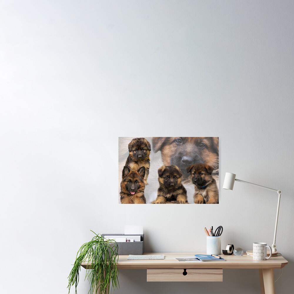 German Shepherd Puppy Collage Poster For Sale By Sandyk Redbubble