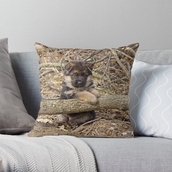 https://ih1.redbubble.net/image.331557107.4933/throwpillow,small,600x-bg,f8f8f8-c,0,120,600,600.jpg