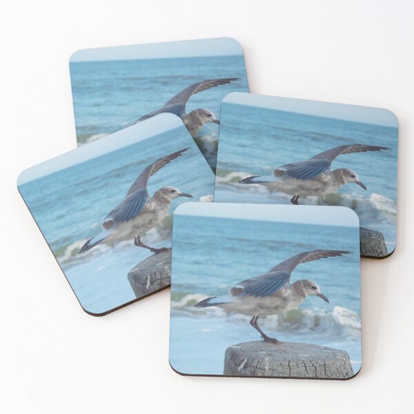 Item preview, Balancing Seagull designed and sold by NoSaysLion.