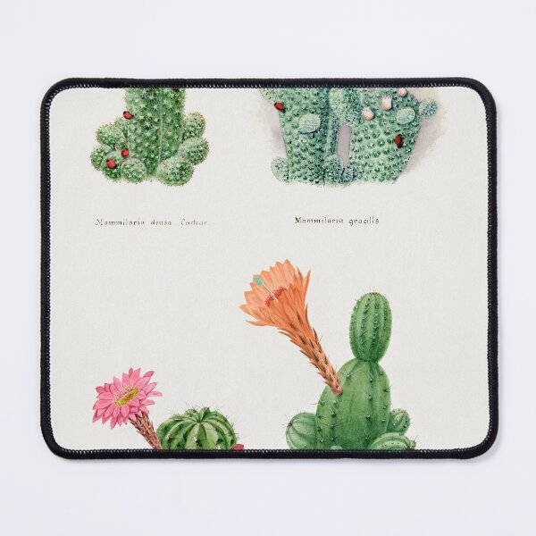 Item preview, Desert Cactus Vintage designed and sold by SuziQPrayers427.
