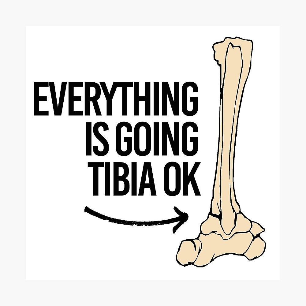 Funny bone. Tibia игра Дэниел Петри картинки.