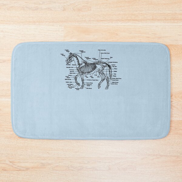 Item preview, Horse Anatomy Skeleton Sticker designed and sold by Caroliipek.