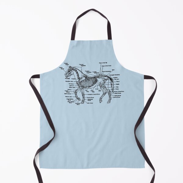 Item preview, Horse Anatomy Skeleton Sticker designed and sold by Caroliipek.