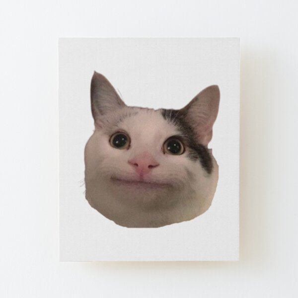 beluga cat discord pfp | Art Board Print