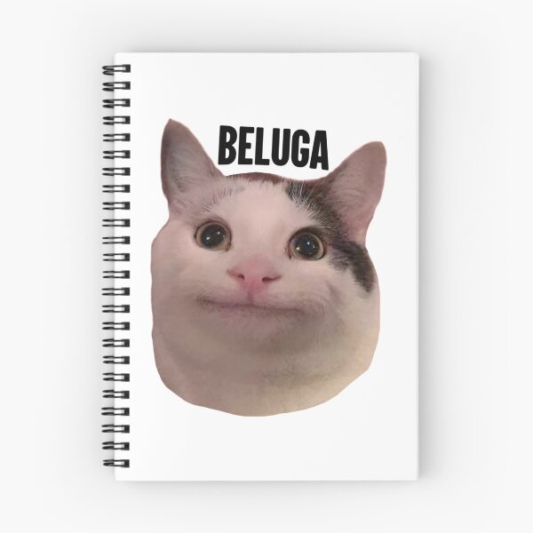 Item preview, beluga cat discord pfp    designed and sold by Liamandlore.