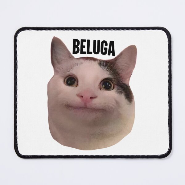 Item preview, beluga cat discord pfp designed and sold by Liamandlore.