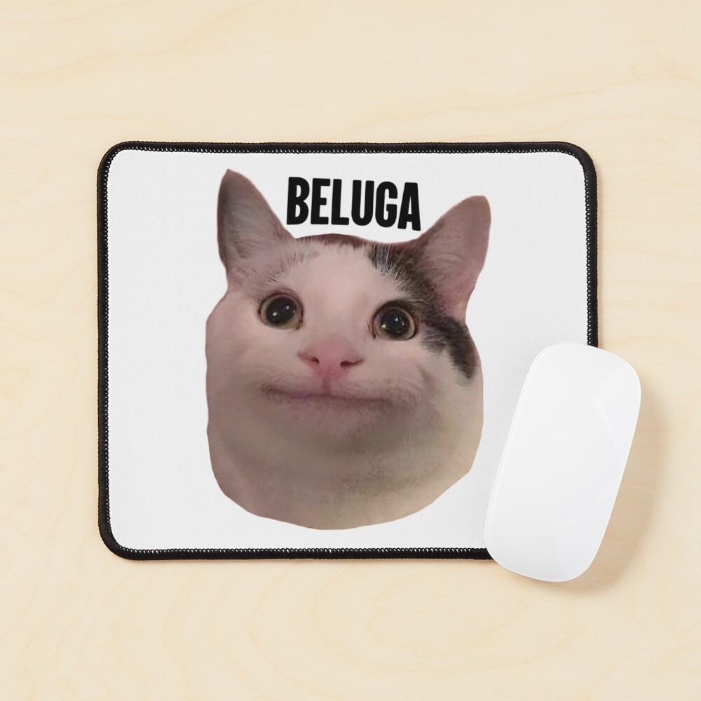 Download Beluga Cat Sticker Wallpaper