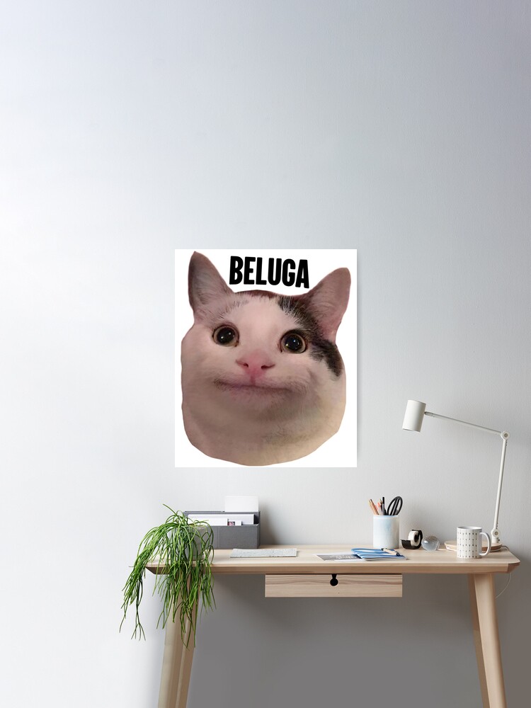 Steam Workshop::cat pfp beluga