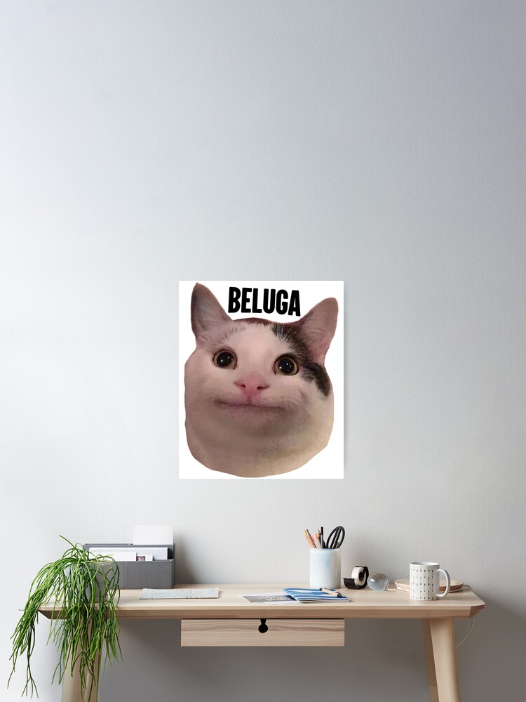 beluga cat  Pin for Sale by Liamandlore