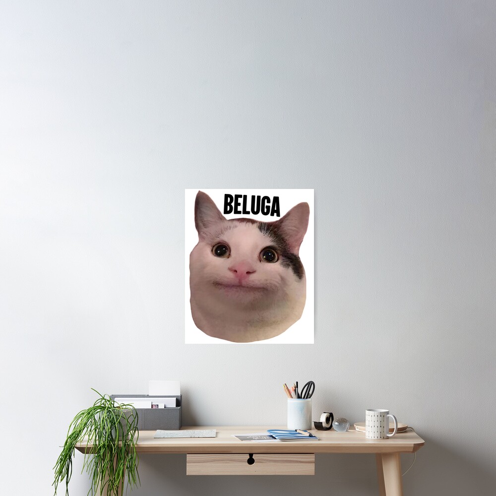 beluga cat discord pfp | Art Board Print