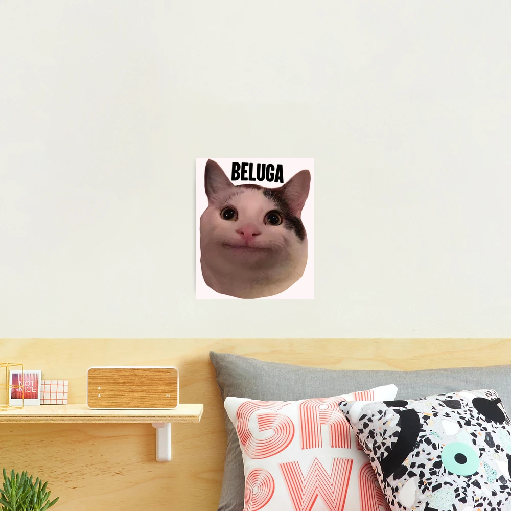 beluga cat discord pfp  Poster for Sale by Liamandlore