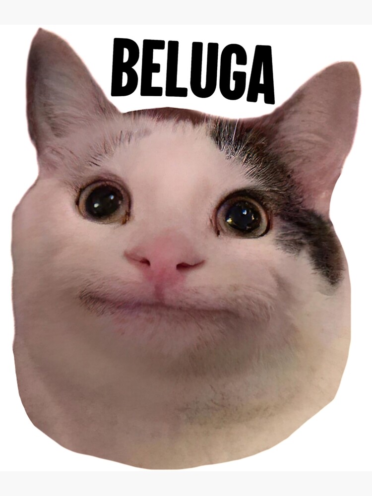 Beluga cat discord meme Photographic Print for Sale by anins-azuree