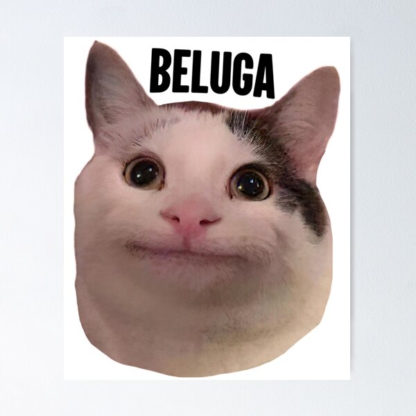 Beluga Discord - Beluga Cat - Pixel Pink Glasses Poster for Sale by  DiensDesign