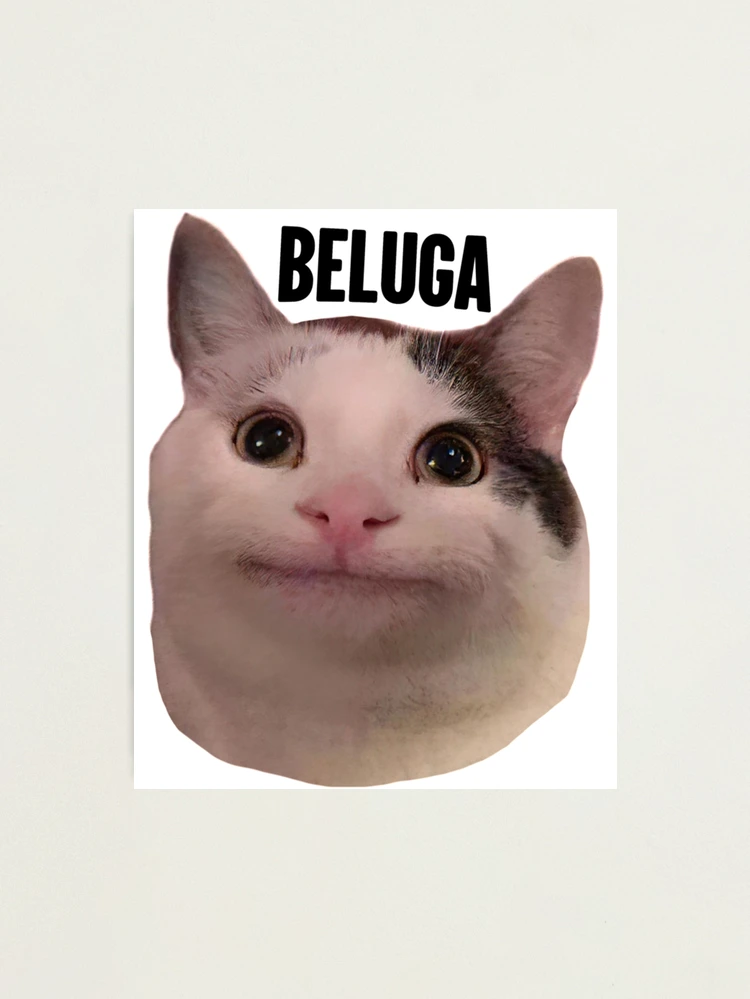 subscribe to my  channel (Beluga) Minecraft Skin