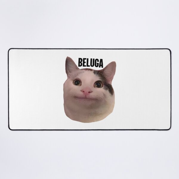 Item preview, beluga cat discord pfp    designed and sold by Liamandlore.