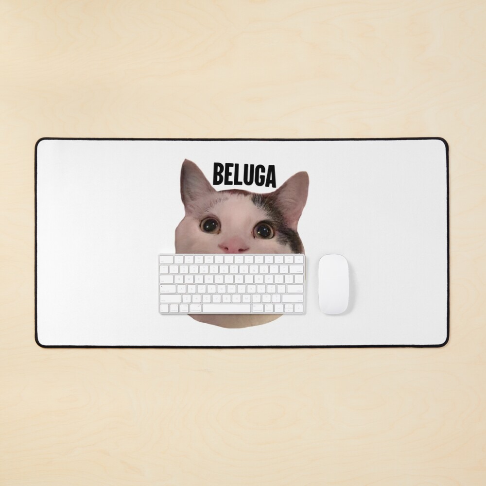 beluga cat discord pfp  Poster for Sale by Liamandlore