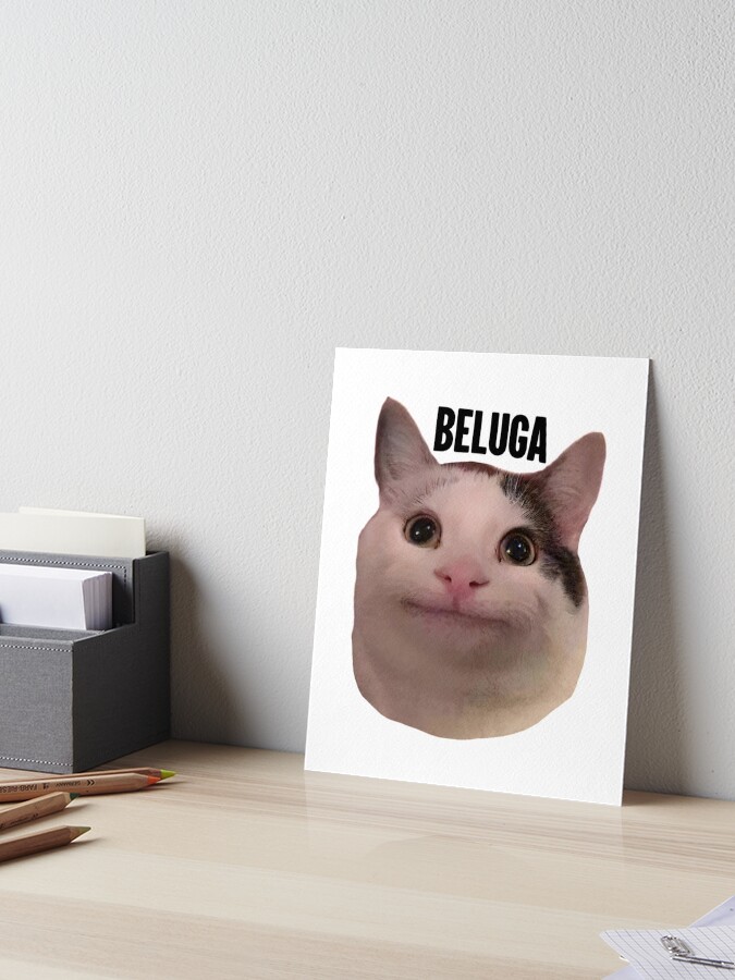 Download Beluga Cat Sticker Wallpaper