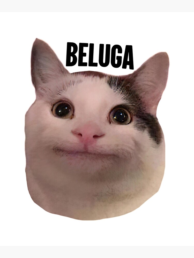 beluga cat discord pfp  Mounted Print for Sale by Liamandlore