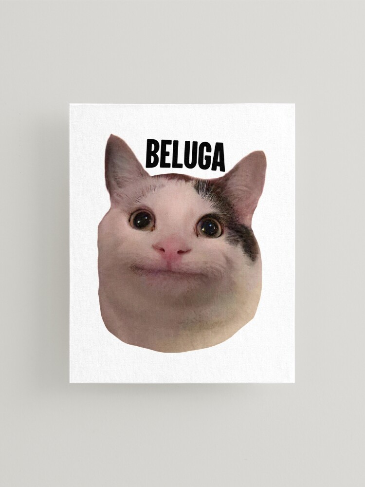 Beluga Cat (the Beluga) Minecraft Mob Skin