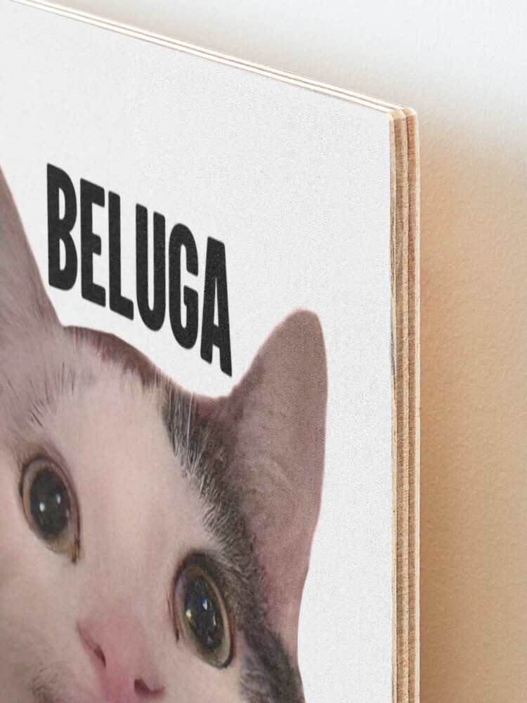 beluga cat discord pfp  Mounted Print for Sale by Liamandlore