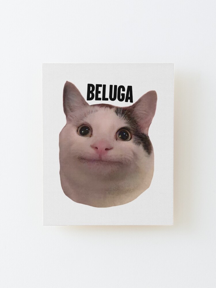 beluga cat discord meme Greeting Card for Sale by anins-azuree