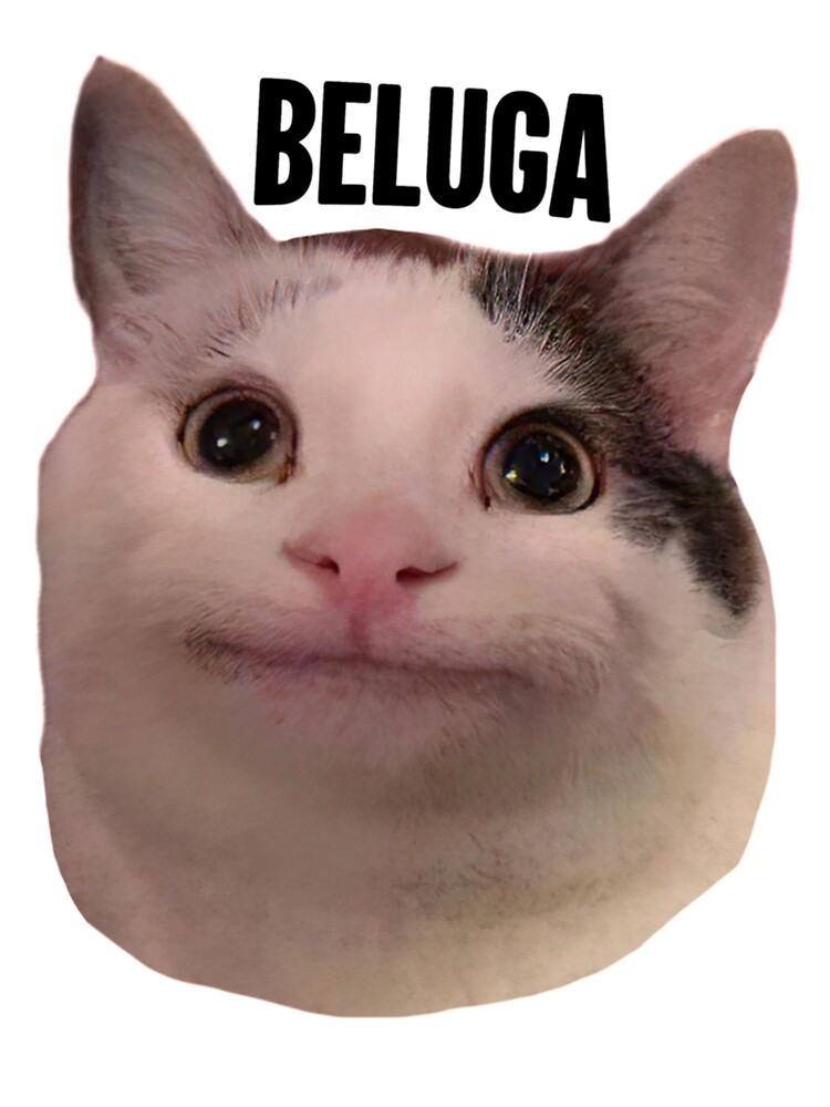 Beluga Cat Discord Pfp Unisex T-Shirt - Teeruto