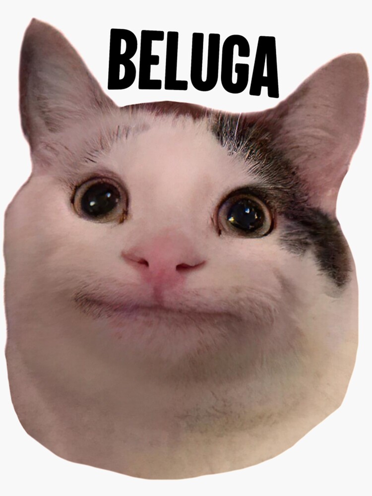 Download Beluga Cat Sticker Wallpaper