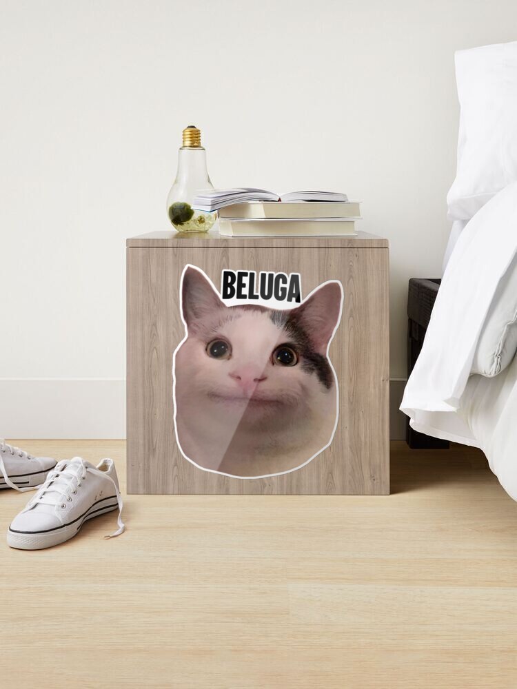 beluga cat discord pfp  Mounted Print for Sale by Liamandlore