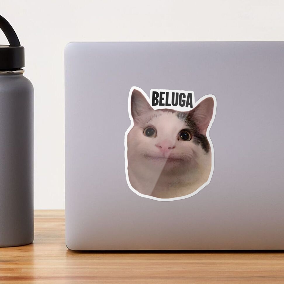 beluga cat discord pfp  Mounted Print for Sale by Liamandlore