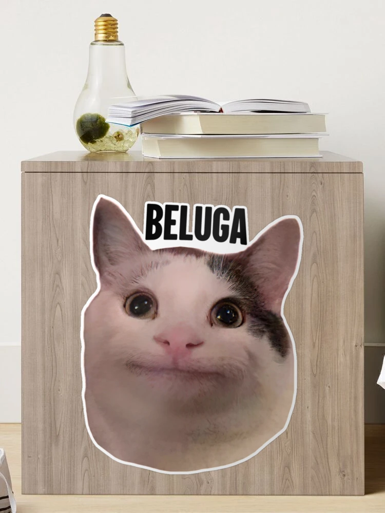 Steam Workshop::cat pfp beluga