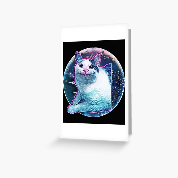 beluga cat meme  Photographic Print for Sale by alicjadesigns