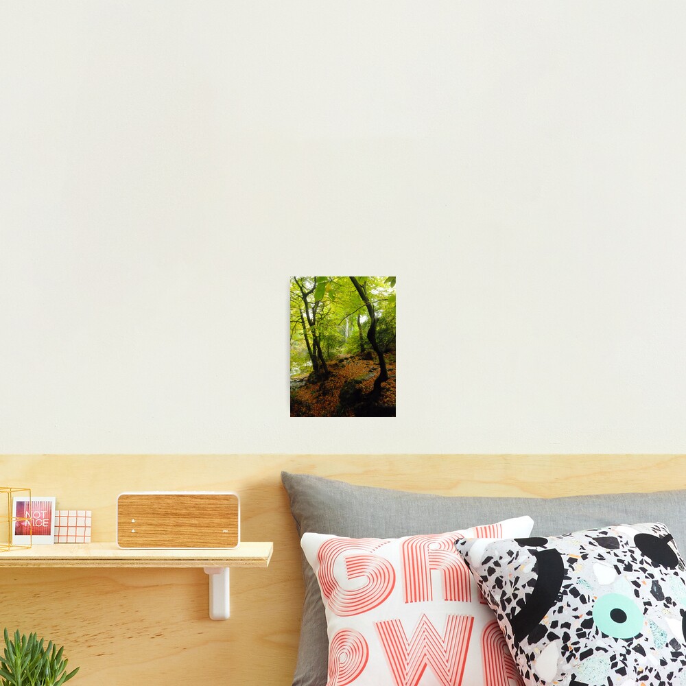 Item preview, Photographic Print designed and sold by IOMWildFlowers.