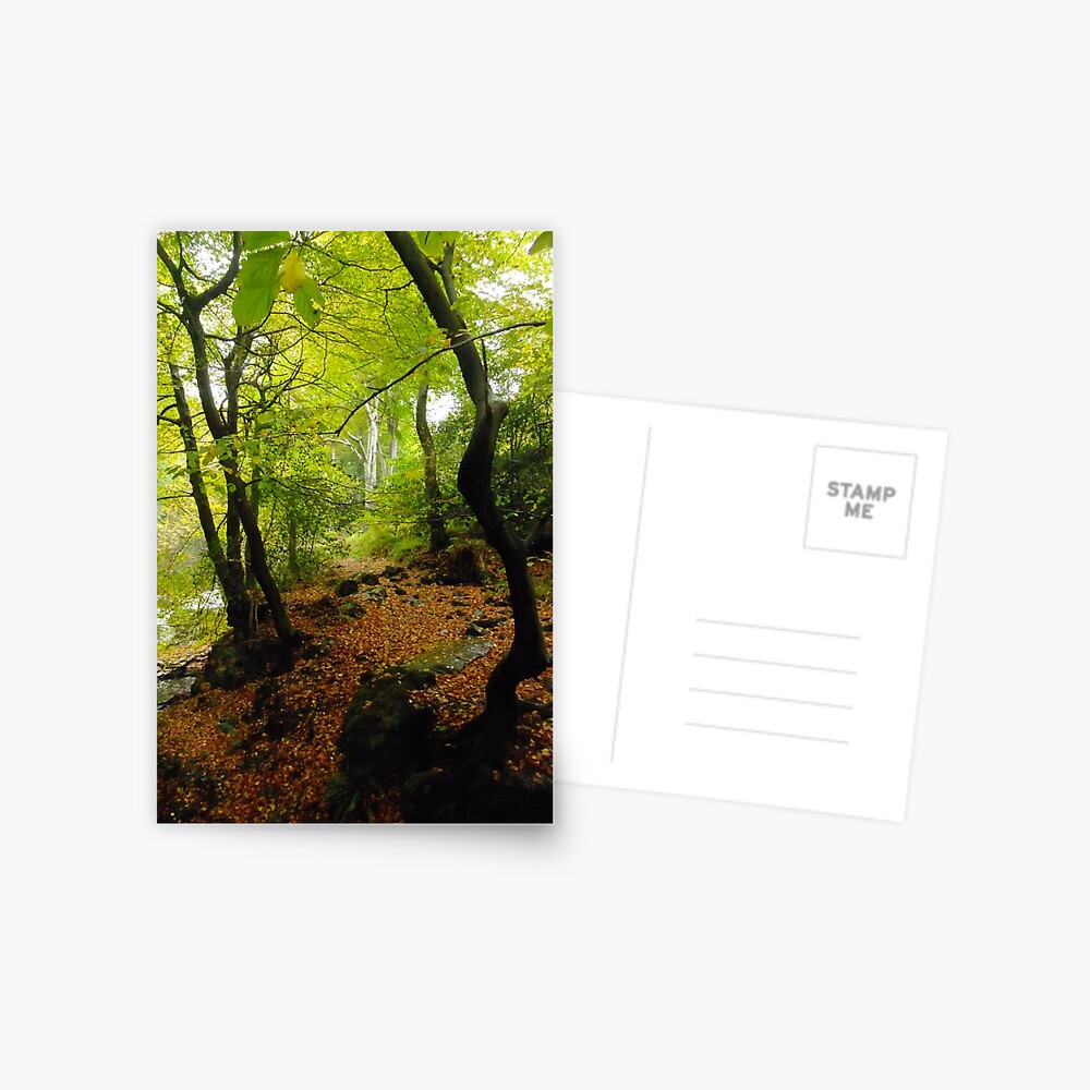 Item preview, Postcard designed and sold by IOMWildFlowers.