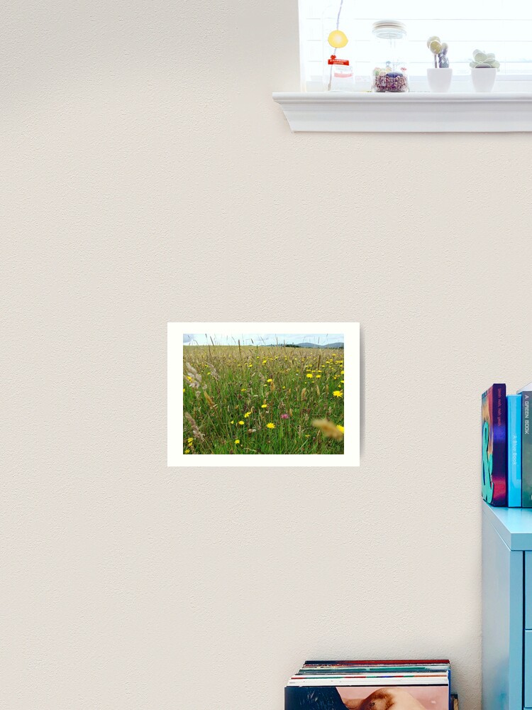 Thumbnail 2 of 3, Art Print, Ballannette designed and sold by IOMWildFlowers.