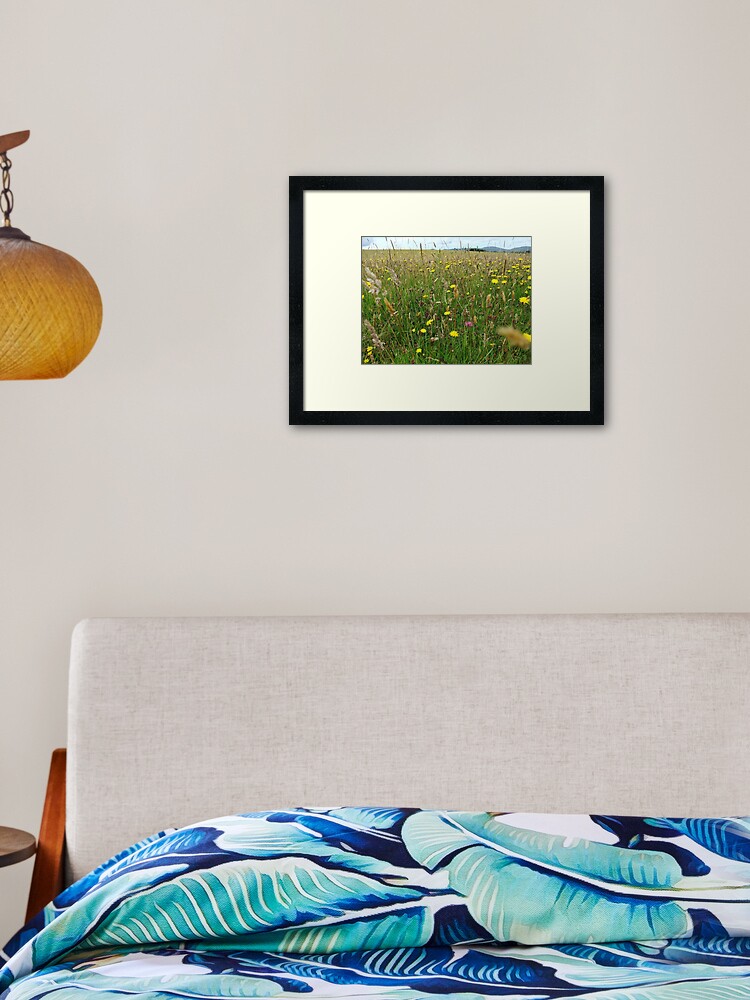 Thumbnail 2 of 7, Framed Art Print, Ballannette designed and sold by IOMWildFlowers.