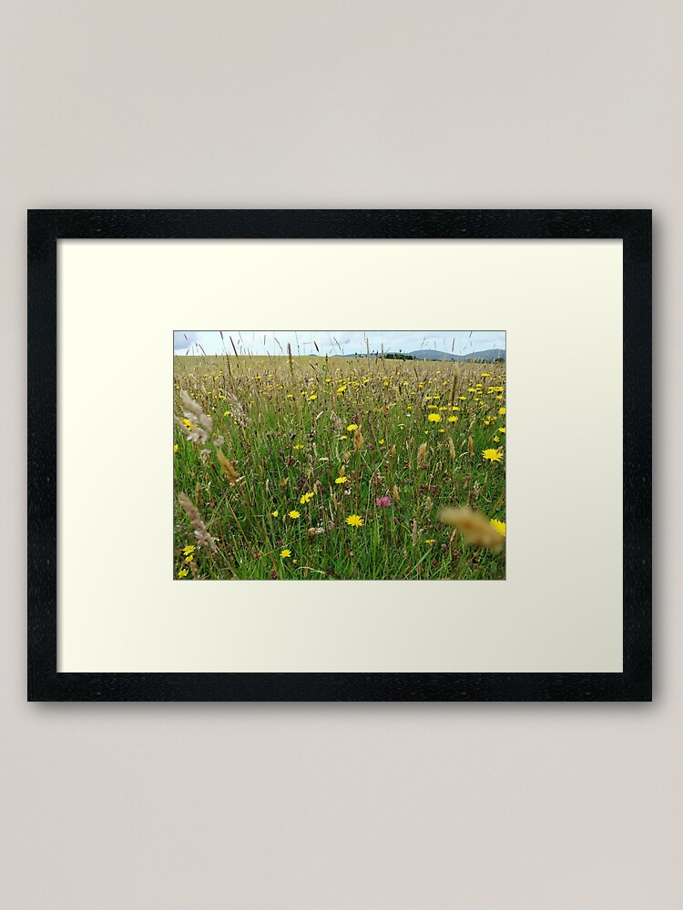 Thumbnail 1 of 7, Framed Art Print, Ballannette designed and sold by IOMWildFlowers.