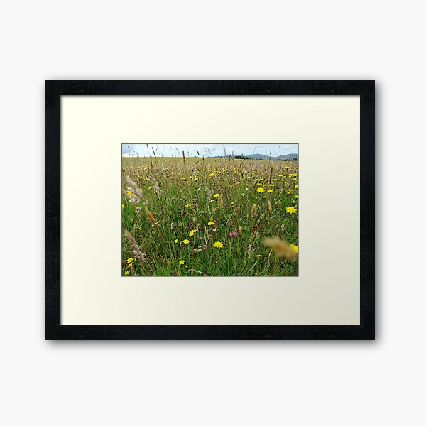 Framed Art Print