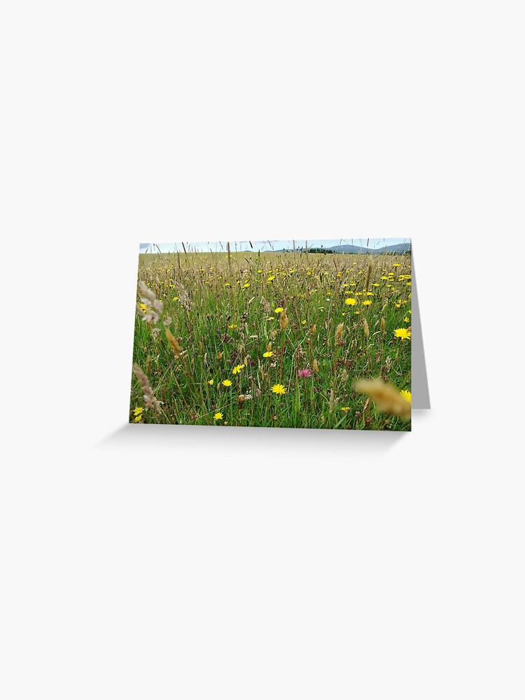Thumbnail 1 of 2, Greeting Card, Ballannette designed and sold by IOMWildFlowers.