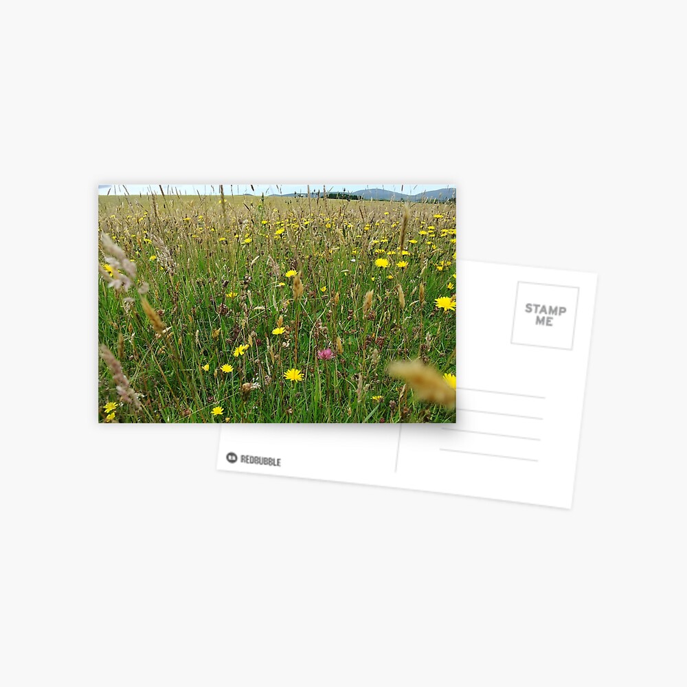 Item preview, Postcard designed and sold by IOMWildFlowers.