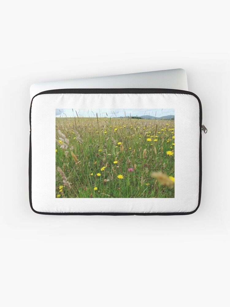 Thumbnail 1 of 2, Laptop Sleeve, Ballannette designed and sold by IOMWildFlowers.