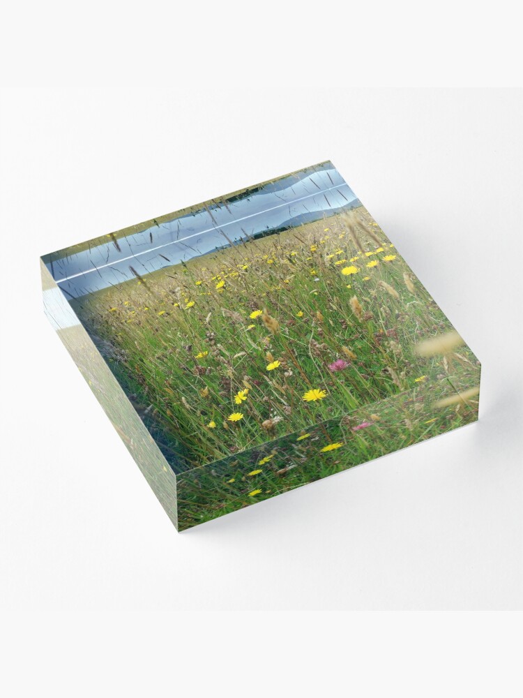 Thumbnail 3 of 5, Acrylic Block, Ballannette designed and sold by IOMWildFlowers.