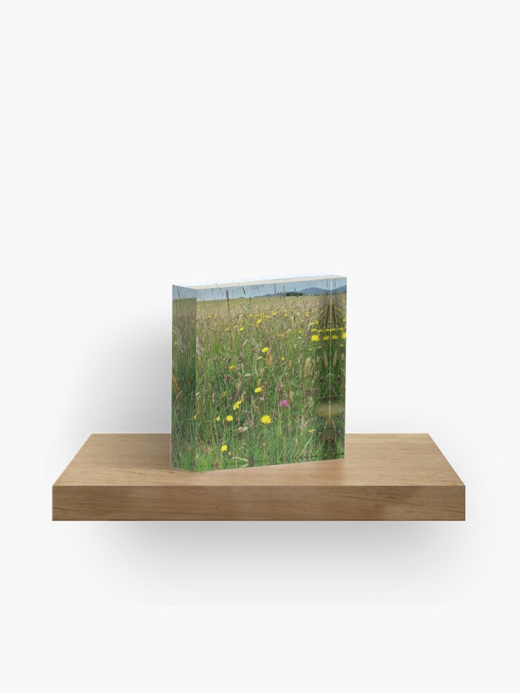 Thumbnail 1 of 5, Acrylic Block, Ballannette designed and sold by IOMWildFlowers.
